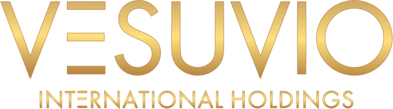 Vesuvio Int Holdings logo Vesuvio Int Holdings logo